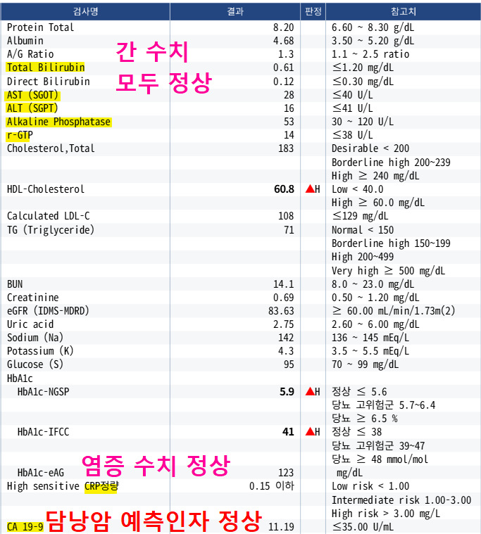 빌리루빈과 간 효소 및 CA19-9가 정상 범위로 표시된 혈액검사 결과 발췌
