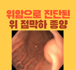 위점막하종양의 내시경 사진이 들어간 원본 표지